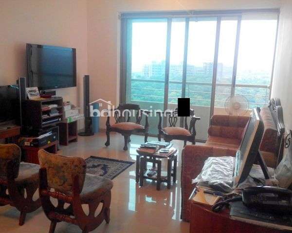 3500 sft Luxurious apartment for Sale in North Gulshan   , Apartment/Flats at Gulshan 02