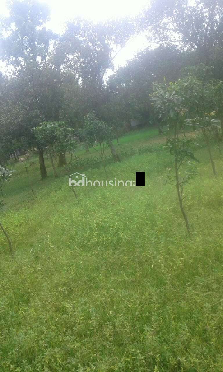 Bhaluka , Mymensingh, Commercial Plot at sadar