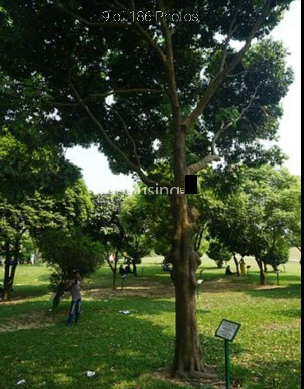 Industrial land , Commercial Plot at Ashulia