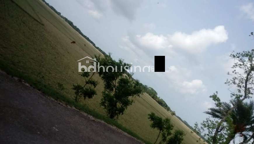  LAND FOR ANY BUSSINESS, Agriculture/Farm Land at Kuakata