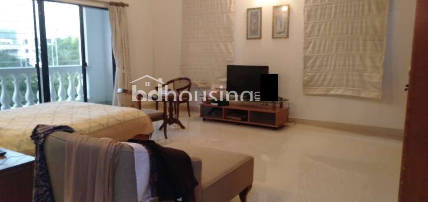 2300 sft Luxury New Apartment for Sale at Banani Dohs      , Apartment/Flats at Banani DOHS