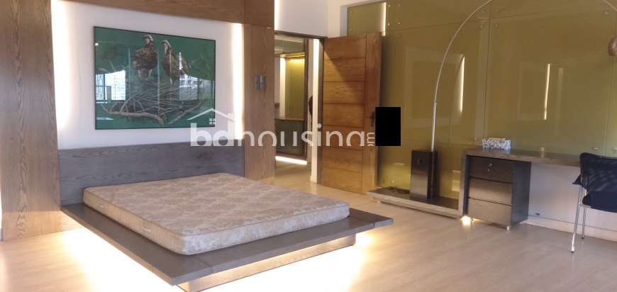 2550 sft Fully Furnished Apartment in Gulshan-2   , Apartment/Flats at Gulshan 02