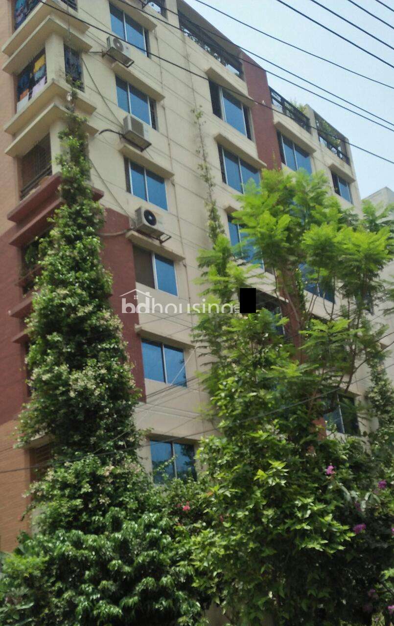 , Apartment/Flats at Dhanmondi