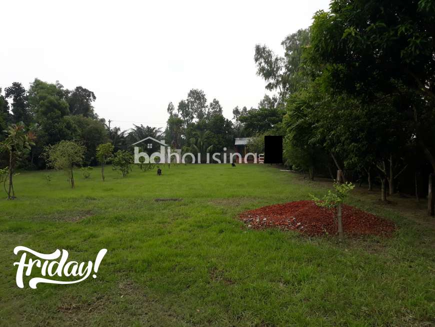 mohadebpur, manikgonj., Commercial Plot at Hemayetpur