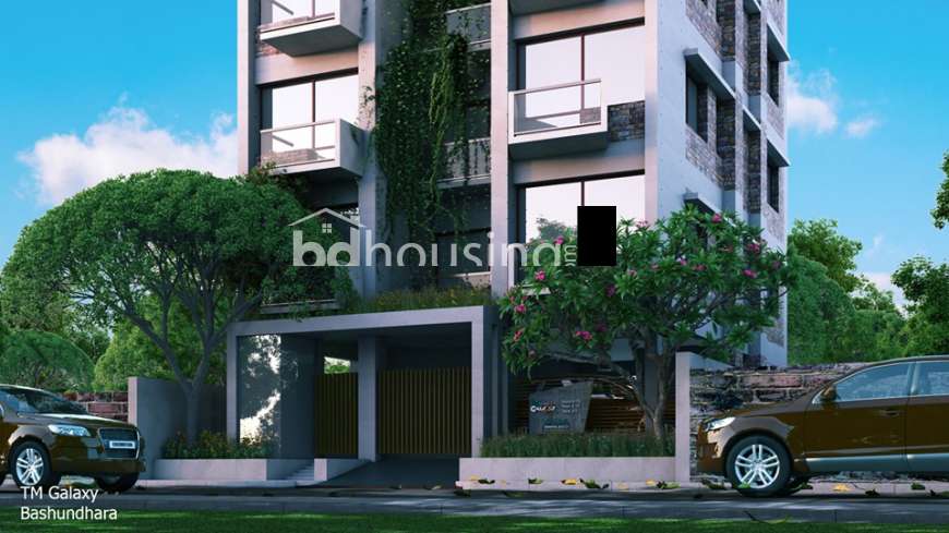 TM Glaxy , Apartment/Flats at Bashundhara R/A