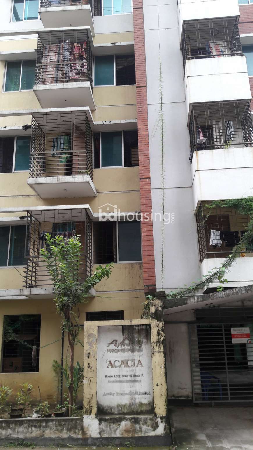 Accacia , Apartment/Flats at Bashundhara R/A