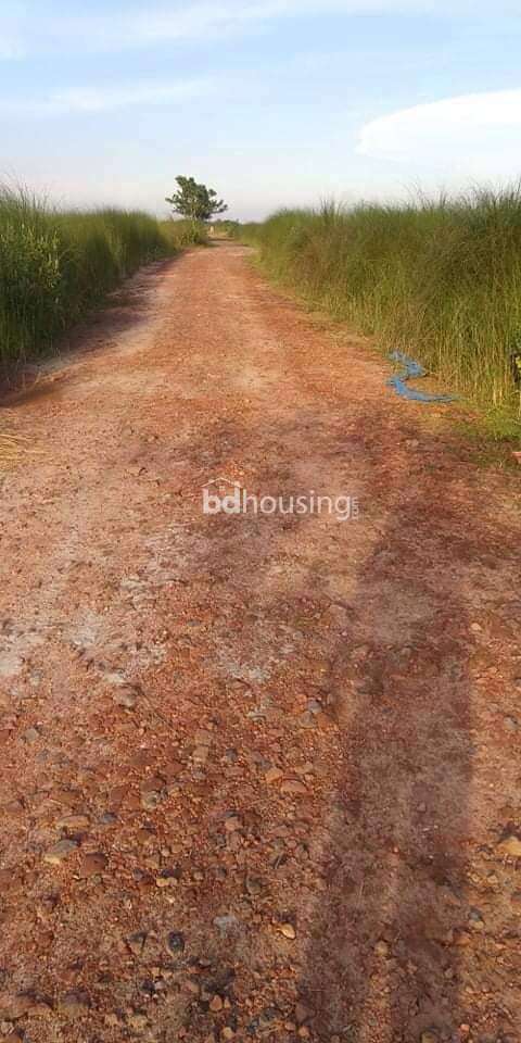 Bashundhara residential area, Residential Plot at Bashundhara R/A