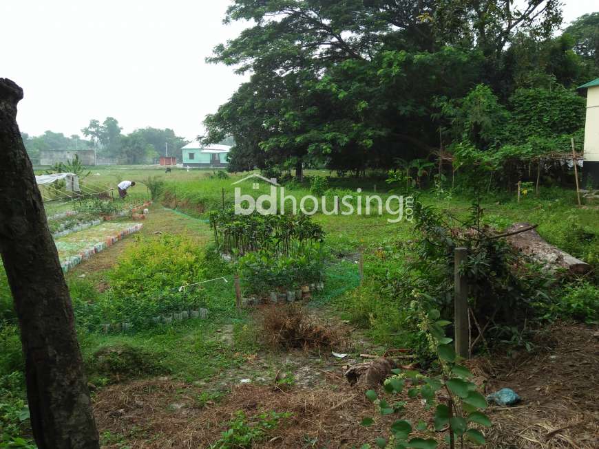 Land sell 8 kata , Residential Plot at Gazipur Sadar