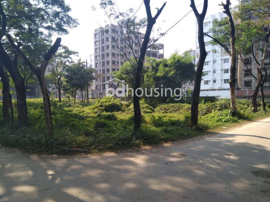 Bashundhara Residential Area, Residential Plot at Bashundhara R/A