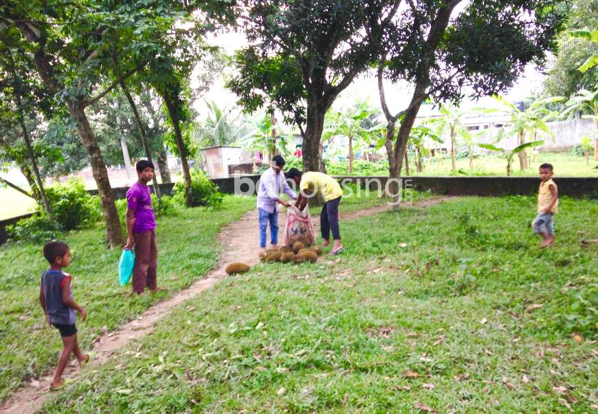 Housing Plot, Residential Plot at Gazipur Sadar