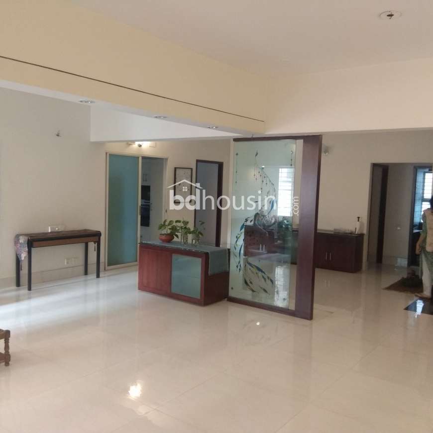 Luxurious 2400 sft used apartment for sale @ Dhanmondi R/A., Apartment/Flats at Dhanmondi