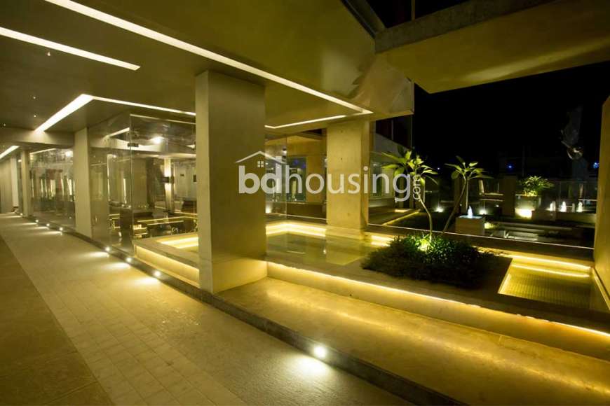 Penthouse, Apartment/Flats at Bashundhara R/A