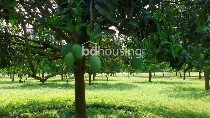 Homeland Agrotech & Farmhouse , Agriculture/Farm Land at Uposahar