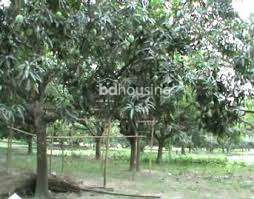 Homeland Agrotech & Farmhouse, Agriculture/Farm Land at Uposahar