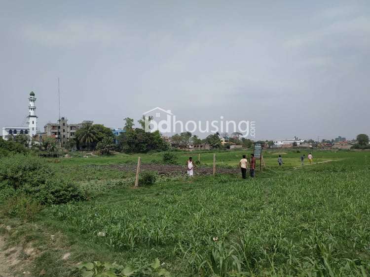 গাবতলীর কাছেই, সাভারের হেমায়েতপুরে ১৩.৫ শতক জমি বিক্রয় হবে, Residential Plot at Hemayetpur