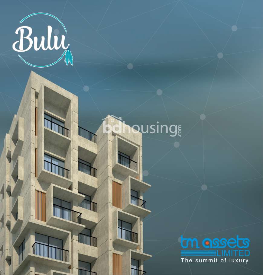 TM Bulu, Apartment/Flats at Bashundhara R/A