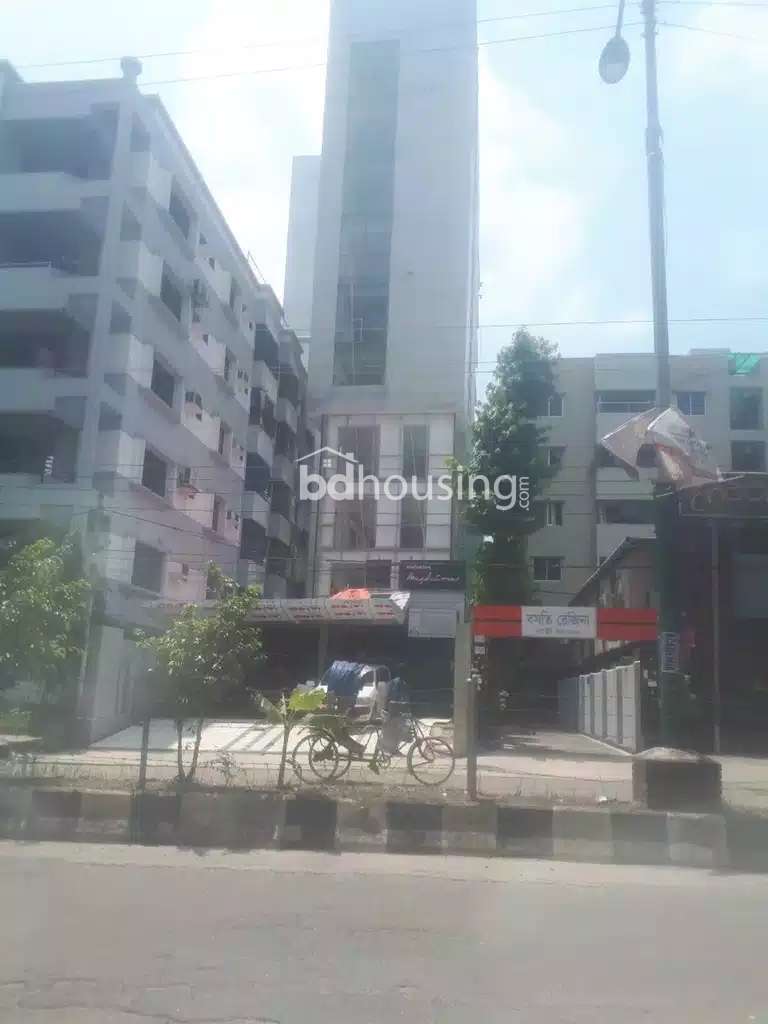 MASHIRA, Office Space at Dhanmondi