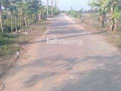 nijosso jomin, Agriculture/Farm Land at Demra
