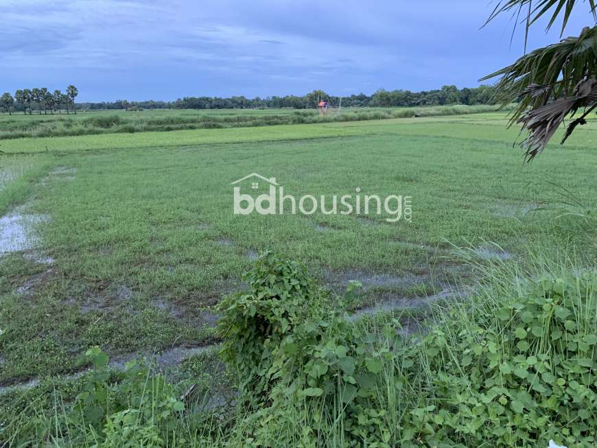 Ms properties , Agriculture/Farm Land at Laksam