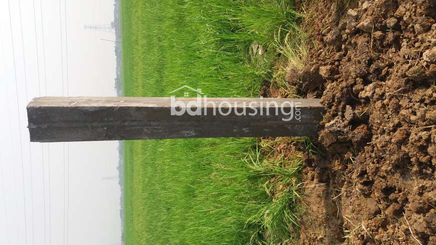 2 katha lan for sale, Agriculture/Farm Land at Basabo