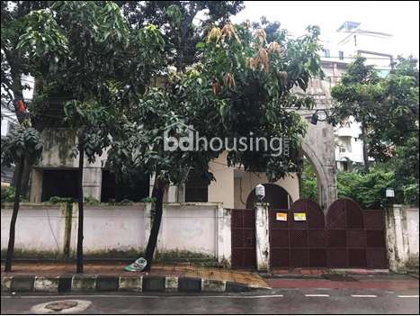 10 katha land for sale, Residential Plot at Gulshan 01