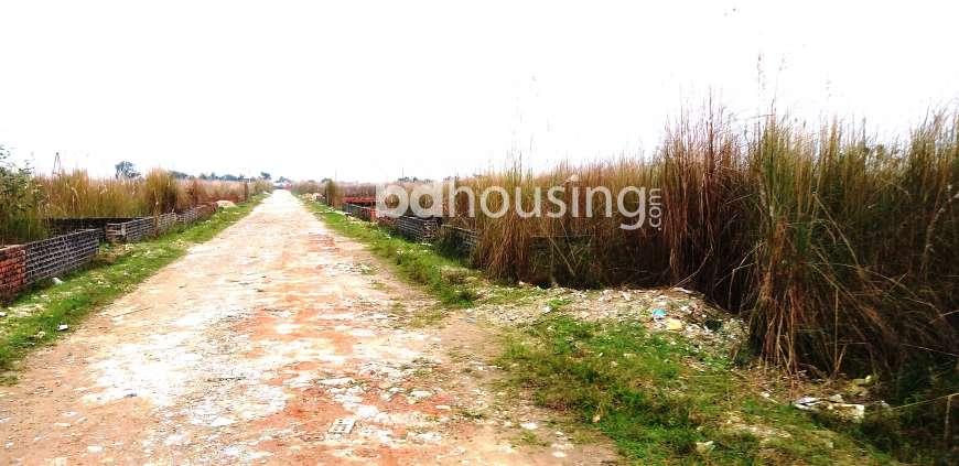 5 Katha South Facing Plot Sale Block-L, Residential Plot at Bashundhara R/A