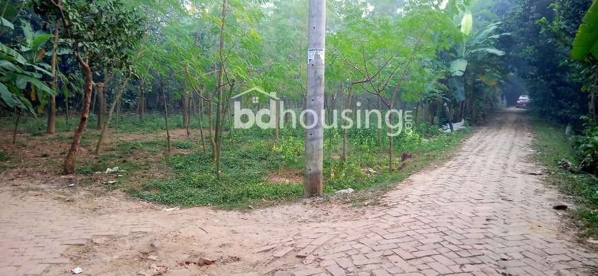 ৩৫ শতাংশ জমি , Residential Plot at Savar