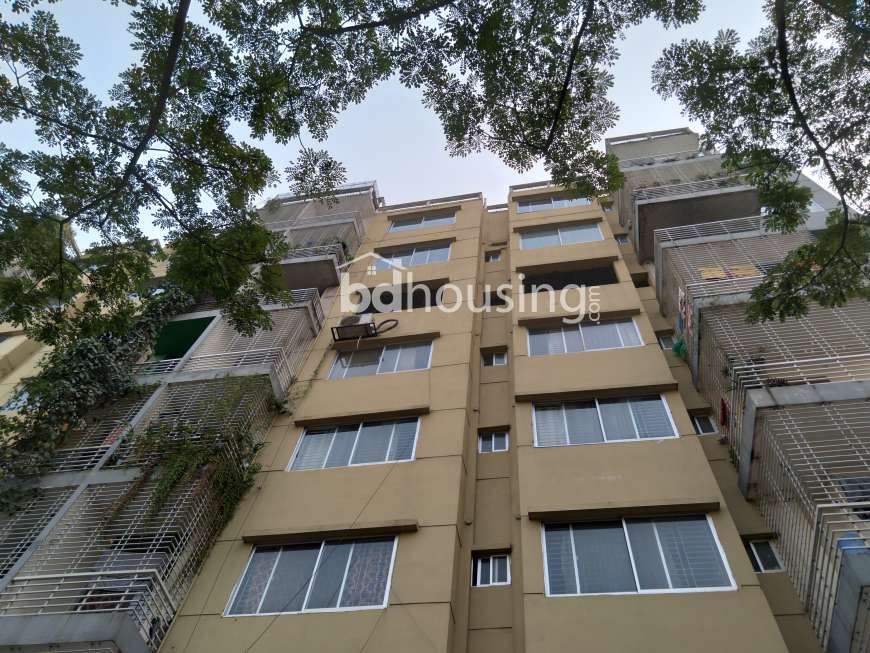 Used Luxurious Apartment , Apartment/Flats at Bashundhara R/A