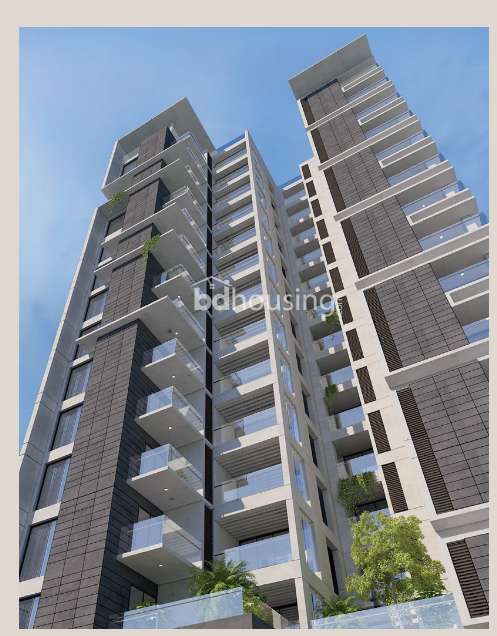 Novella Hasan, Apartment/Flats at Panchlaish