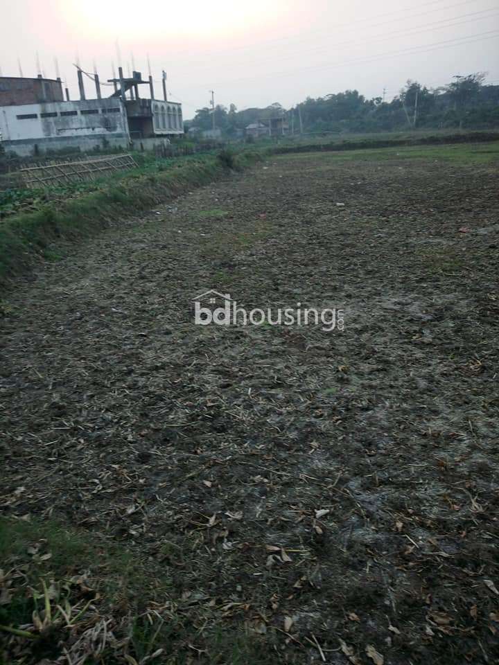 LAND, Residential Plot at Doniya