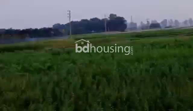 Farm Land , Agriculture/Farm Land at Padma Residential Area