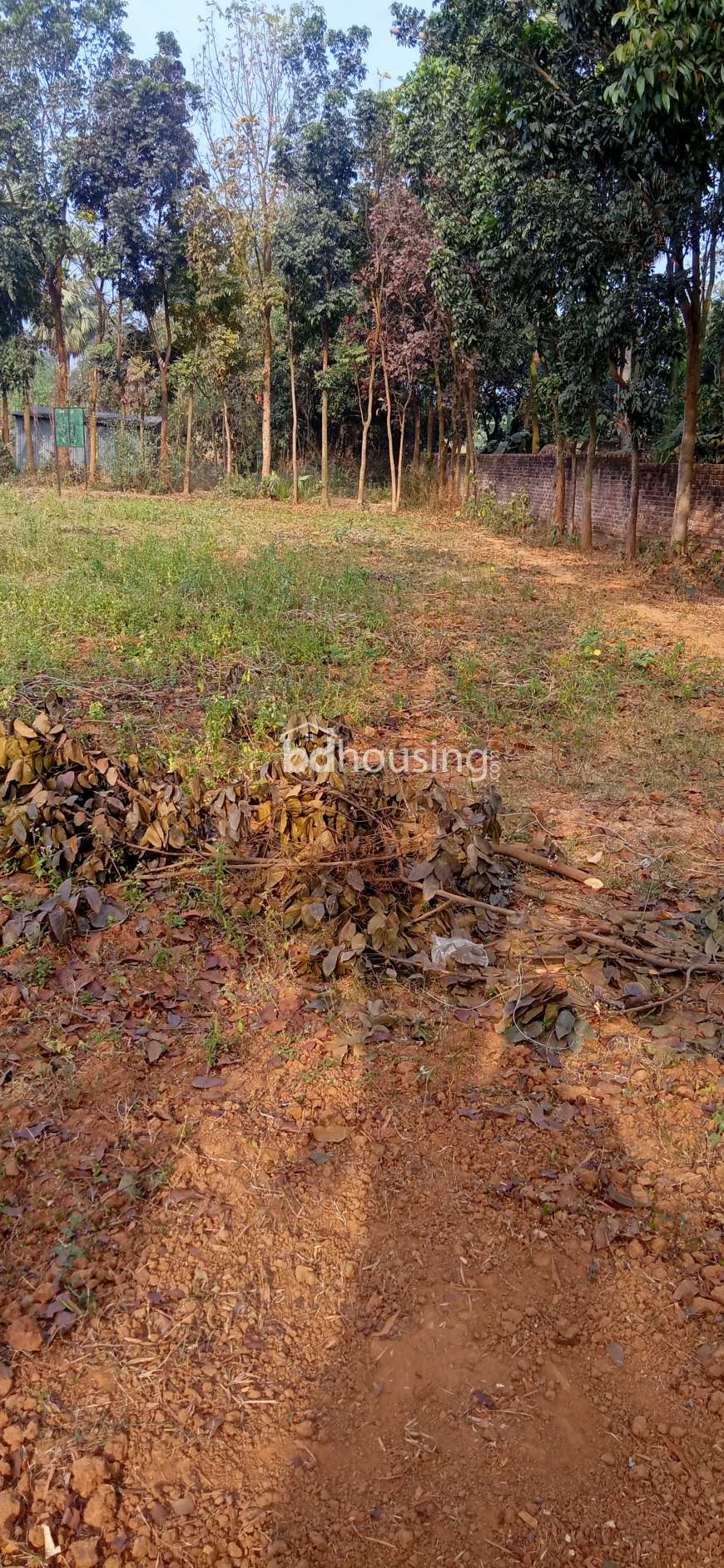 15 katha land, Residential Plot at Savar