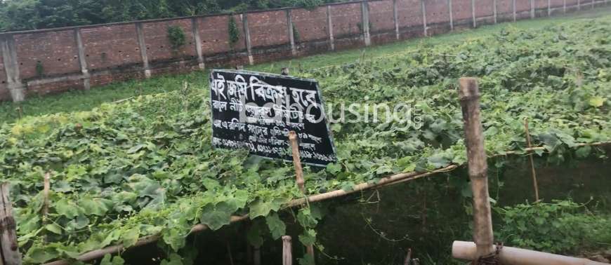 Ratul Nit oars Limited, Agriculture/Farm Land at Savar