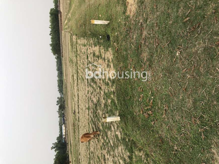 United Engineers , Agriculture/Farm Land at Shahporan 