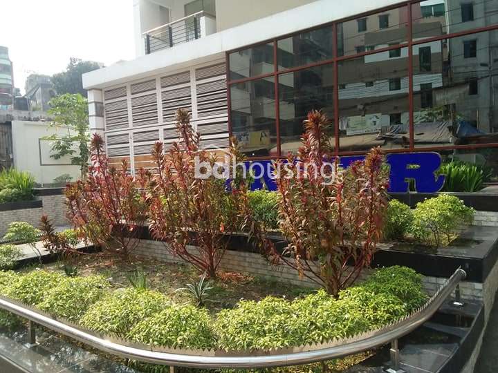 RUNNER ATLAS, Apartment/Flats at West Dhanmondi