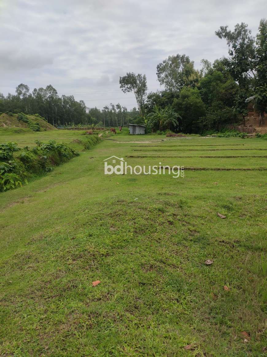 Moksud Ahamed, Agriculture/Farm Land at Bahaddarhat