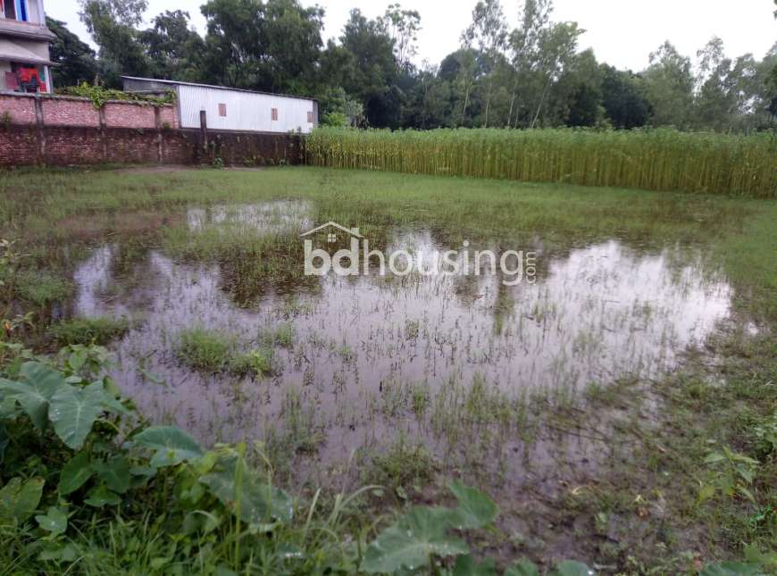 S.M. Shamsul Huda, Agriculture/Farm Land at Mirzapur