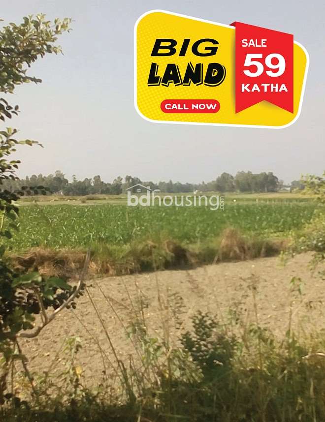 97 Boraid, Commercial Plot at Dhamrai