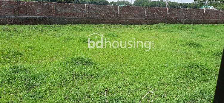 Rowshan Alamgir, Commercial Plot at Amin Bazar