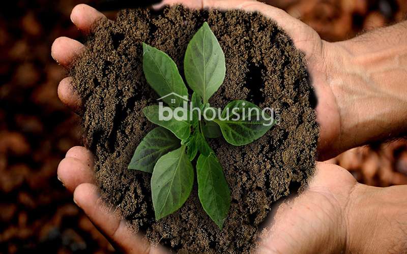 dsafafagdf, Apartment/Flats at Mirpur 11