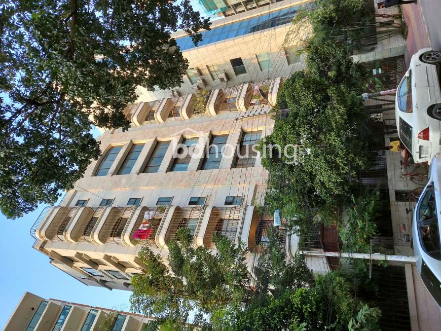Apartment , Apartment/Flats at Dhanmondi