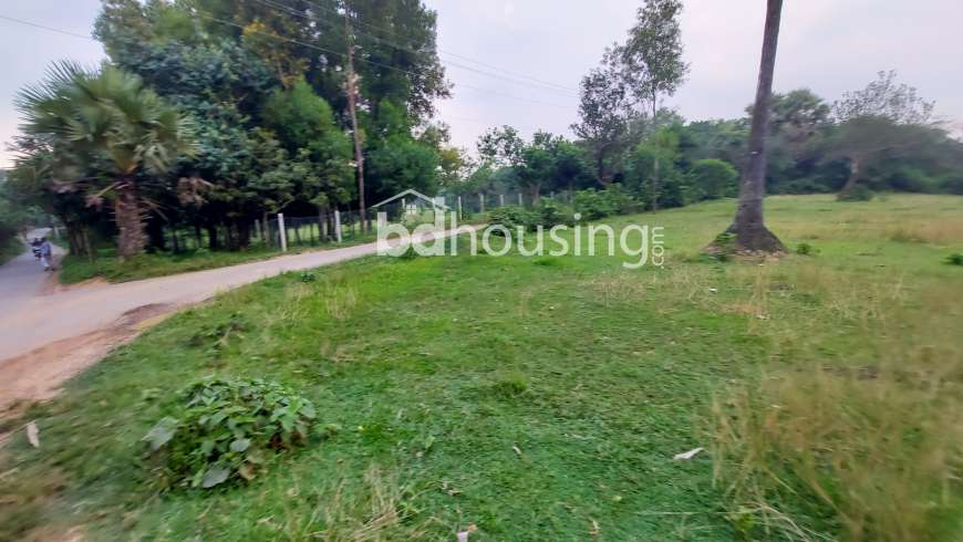 ১১ বিঘা, Residential Plot at Gazipur Sadar