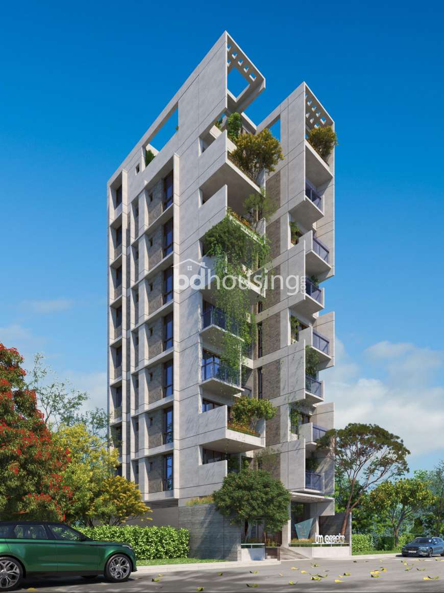 TM Blubell, Apartment/Flats at Aftab Nagar