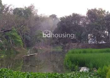 3000 Bigha, Agriculture/Farm Land at sadar