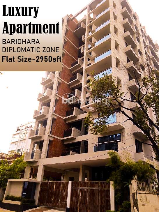 2950sft BARIDHARA DIPLOMATIC ZONE, Apartment/Flats at Baridhara