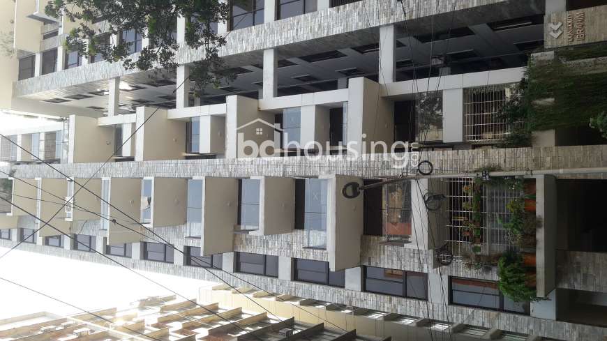 exclusive apartment, Apartment/Flats at Dhanmondi