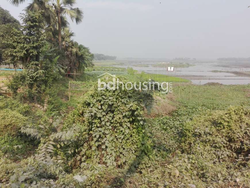 Pine city , Residential Plot at Gazipur Sadar
