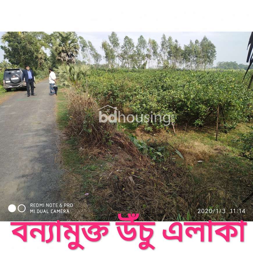 Industrial Land, Commercial Plot at Dhamrai