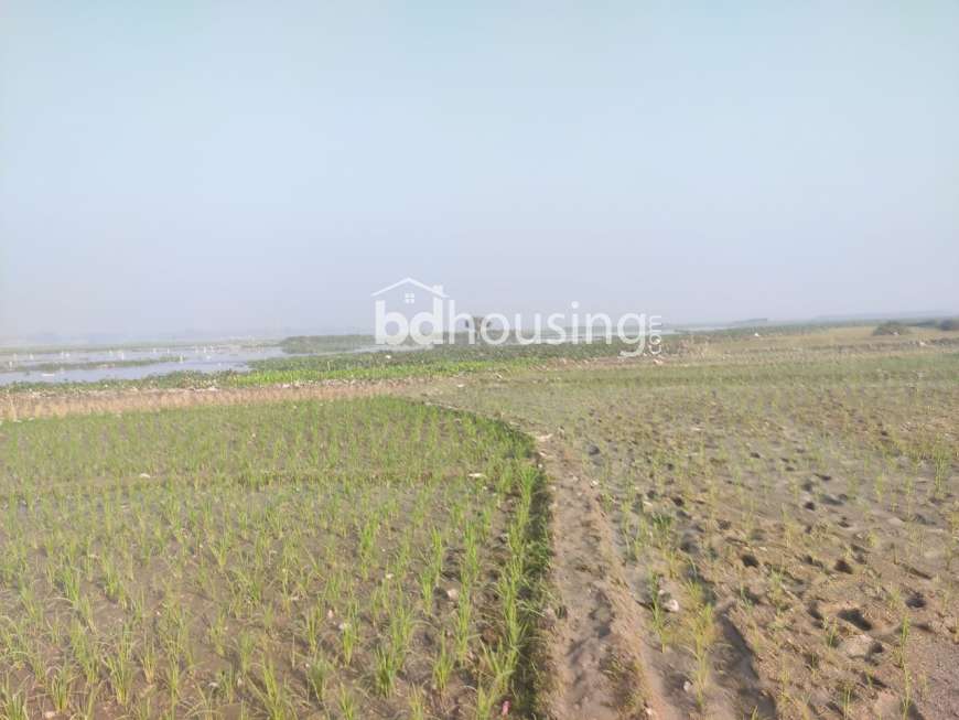 Unready plot, Residential Plot at Mirpur 1