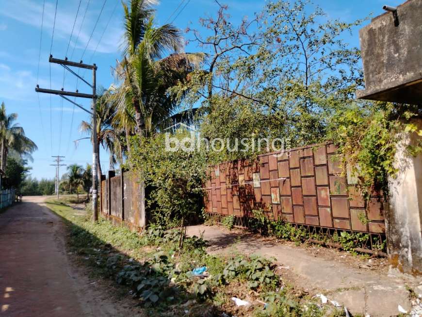 4 Bigha Land, Commercial Plot at Himchori